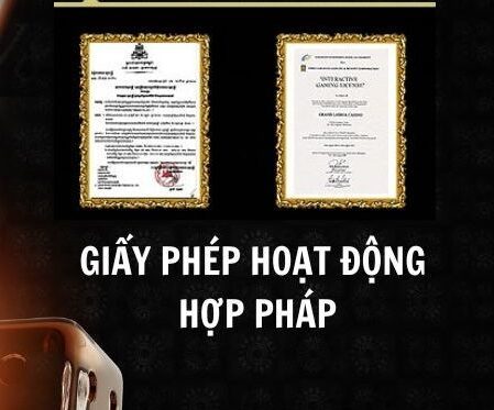 giấy phép hoạt động ho88